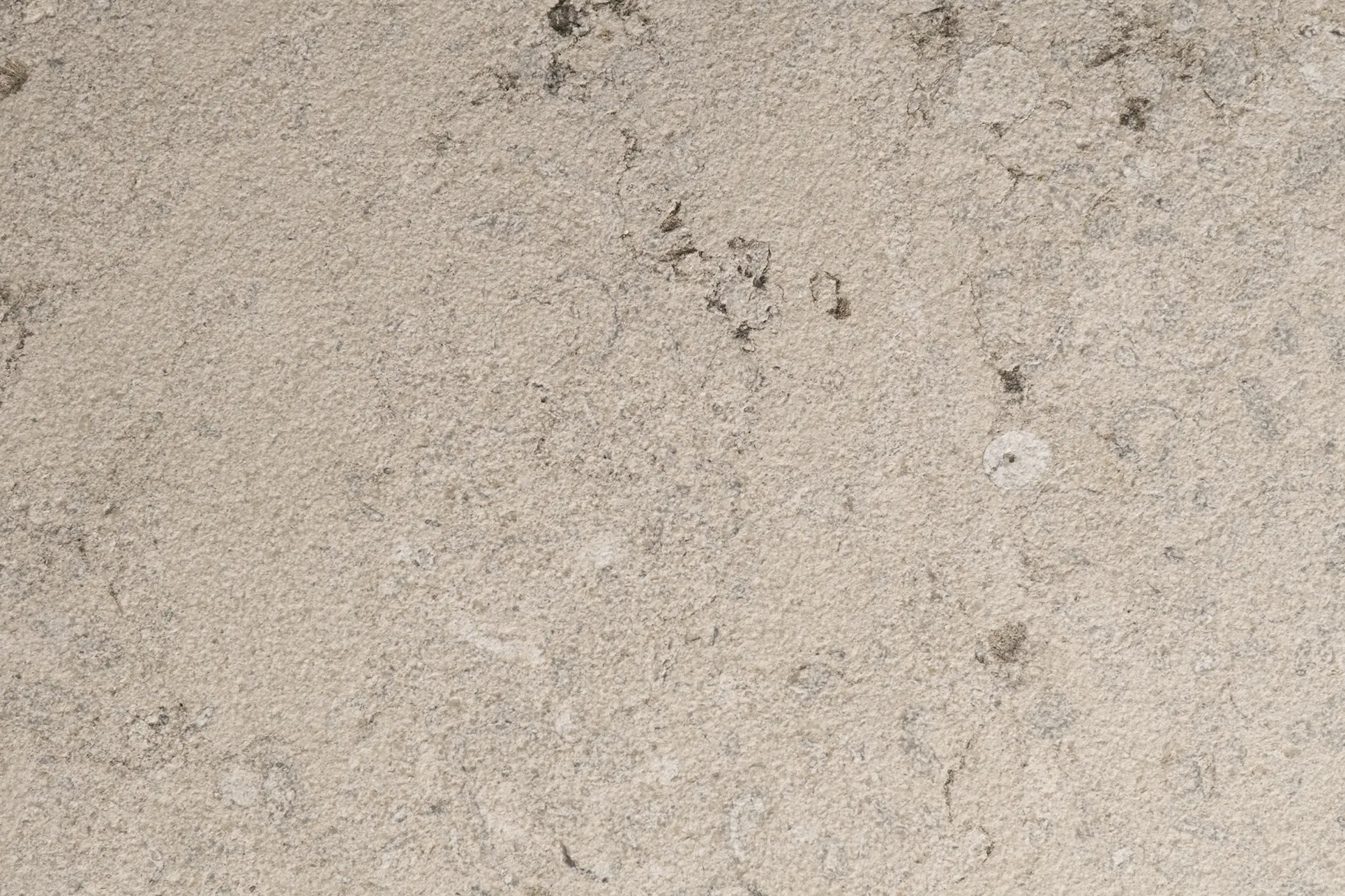 TelmoDuarte_27DS_AmoniteGrey_Areado_Capa0